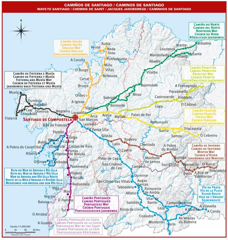 caminos de santiago.jpg